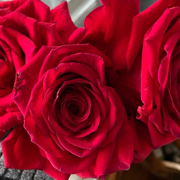 Meet your Posher, Ccc - Picture 1 of 2